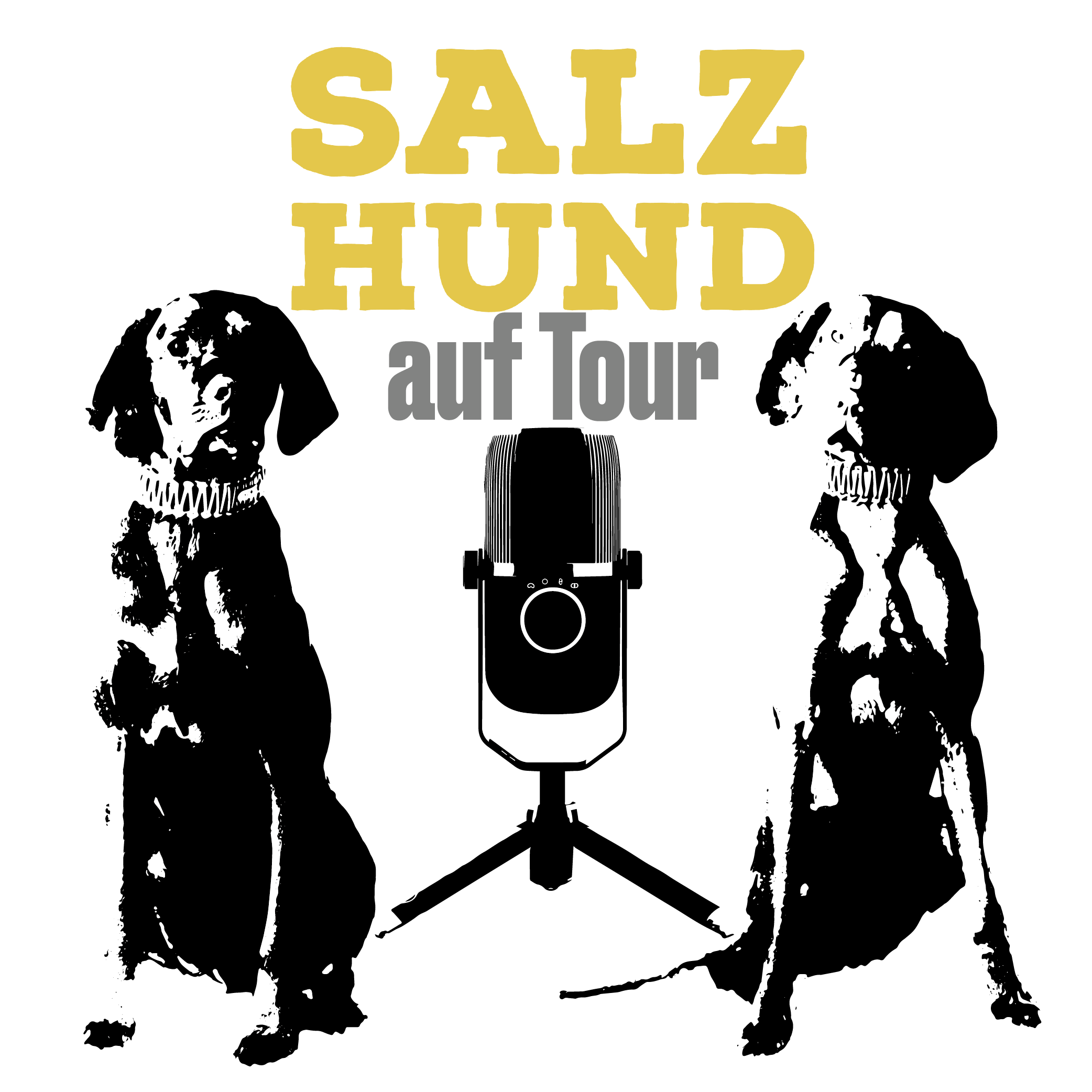 Was dich bei "SalzHund auf Tour" erwartet